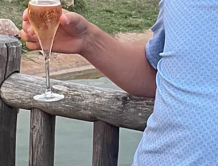 Profil de Toussaint