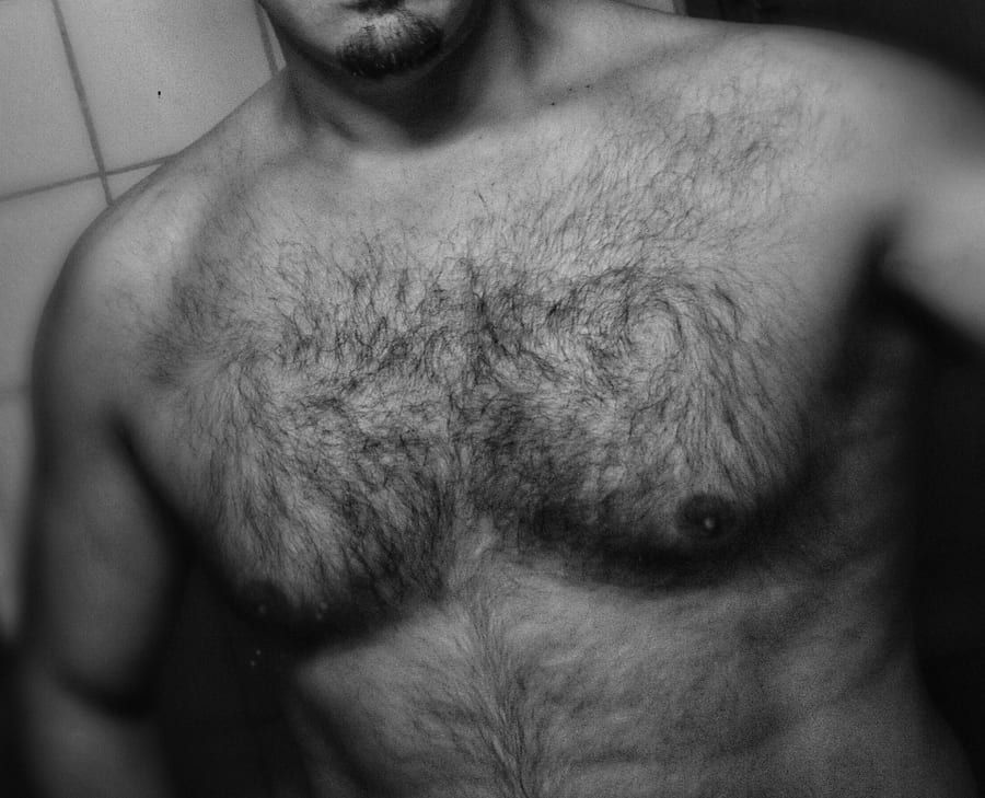 Profil de Haider